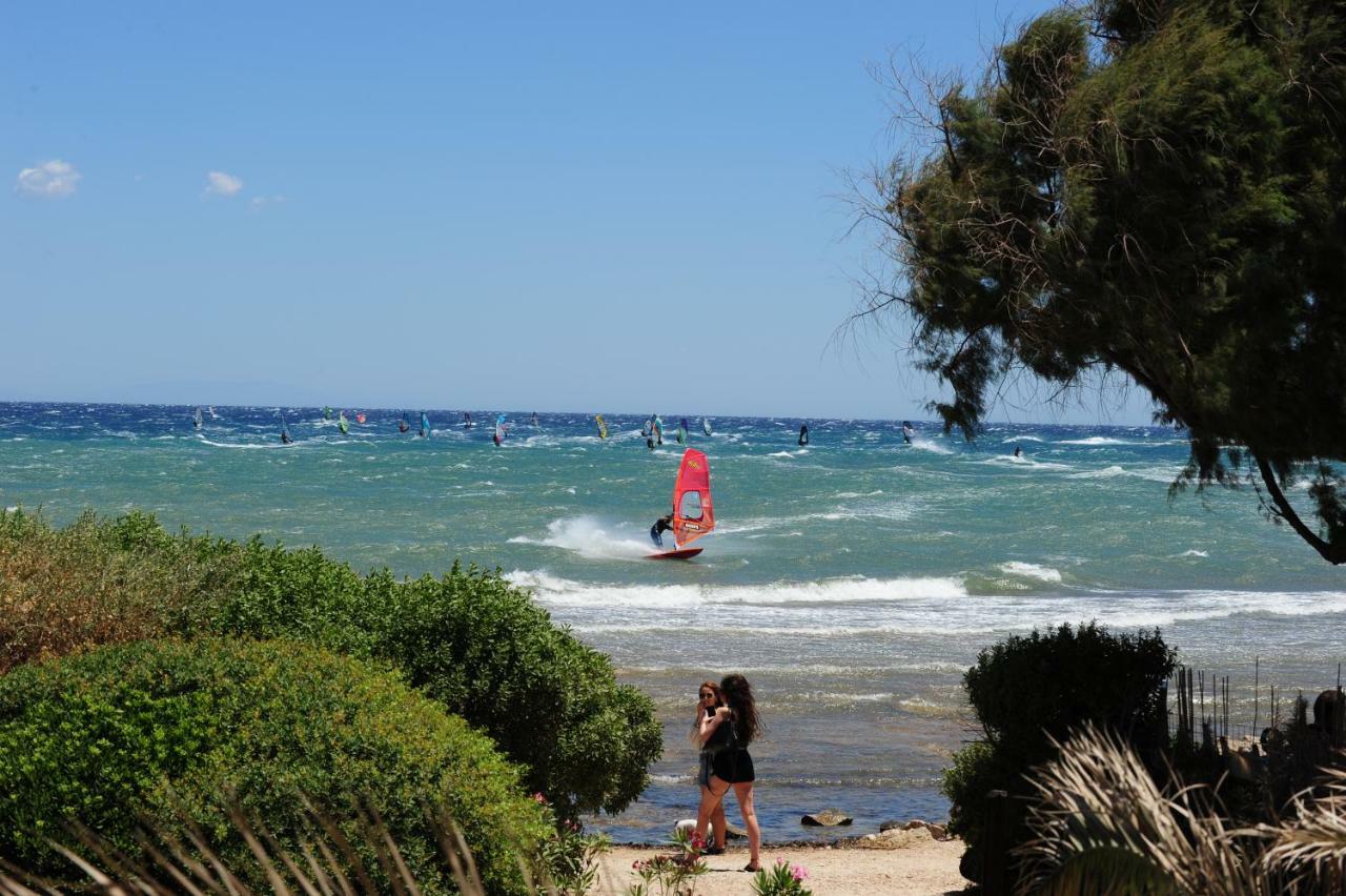 Windsurfing Seaside Apartment Artemida Exterior photo